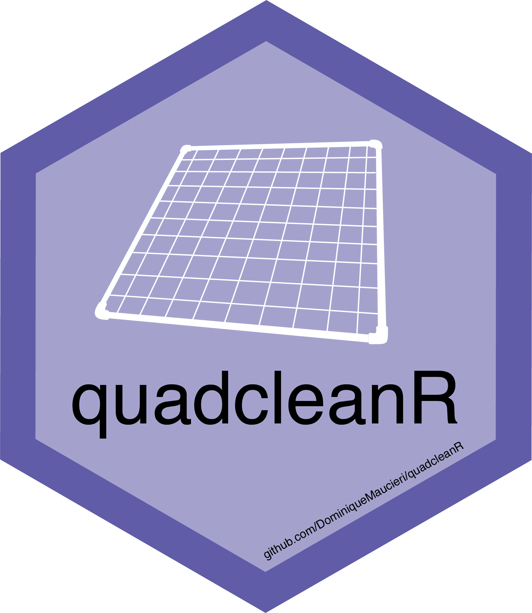 quadcleanR package logo